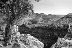 Grand Canyon-9621.jpg